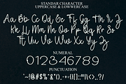 Smoothing, a Handwritten Font by FreshTypeINK (Thumbnail 4 of 7)