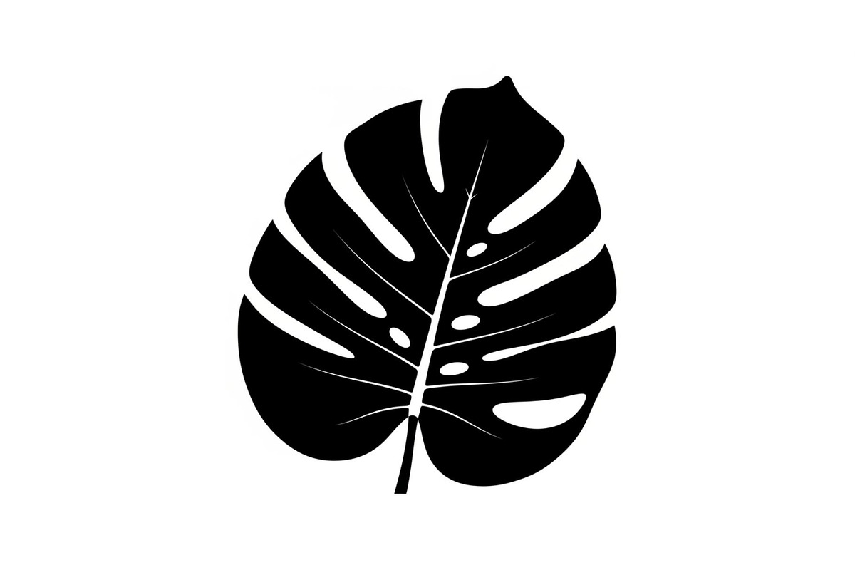 Monstera Leaf Silhouette Bundle, an Illustration by yasushie (Photo 28 of 31)