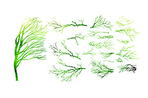 A set of green tree branches . hand, an Object Illustration by Nenahliadava Design