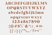 Avalanche - Serif Font, a Font by Tropical Type (Thumbnail 7 of 7)