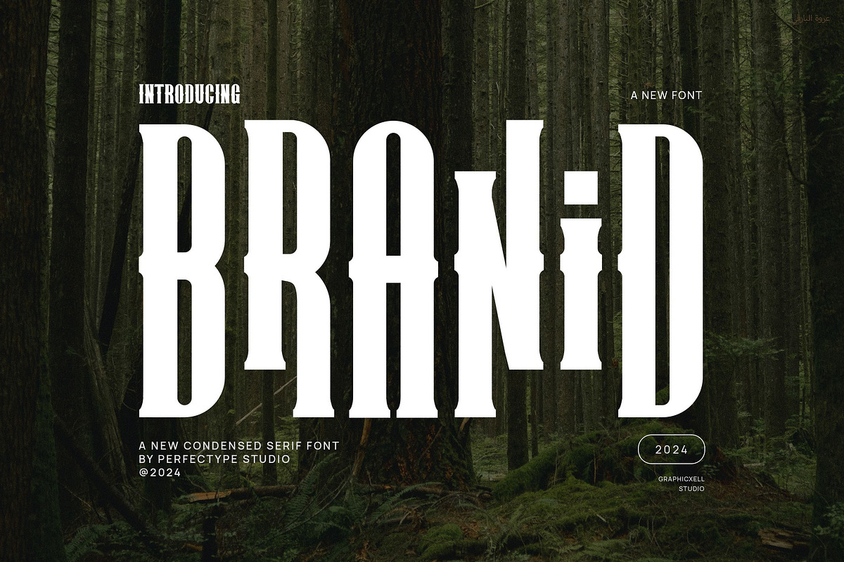 Branid Elegant Serif Font Typeface, a Serif Font by Perfectype (Photo 1 of 6)