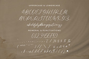 Violetta Frosteil, a Script Font by Goresan Studio (Thumbnail 11 of 15)