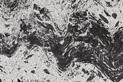Twisted by Nature Vol 1, a Texture Graphic by Jennifer Lauren Creative (Thumbnail 15 of 19)