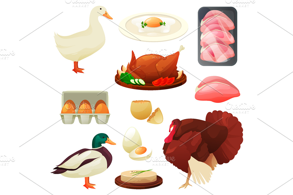 Domestic animals big set, an Animal Illustration by GenziWorkshop (Photo 4 of 7)