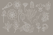 Floral elements doodle set ., an Object Graphic by RAINBOWIRMA (Thumbnail 2 of 4)