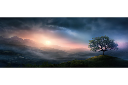 Lonely Tree by Misty Mountains, a Nature Photo by BazziBa♥