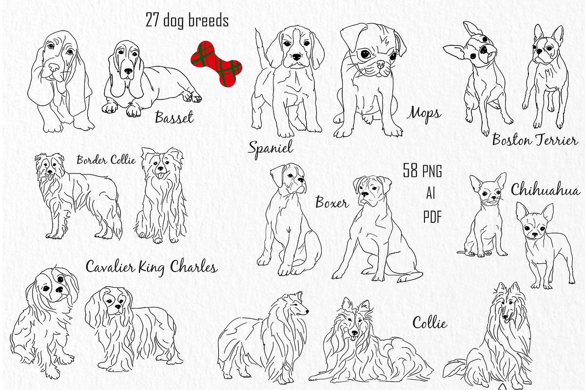 DOG BREEDS for DOGS LOVERS Clipart, an Animal Illustration by ArtOLB (Photo 4 of 10)