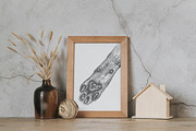 Vintage Bundle 2500+ Free Update, an Animal Illustration by Retro Machine (Thumbnail 73 of 170)