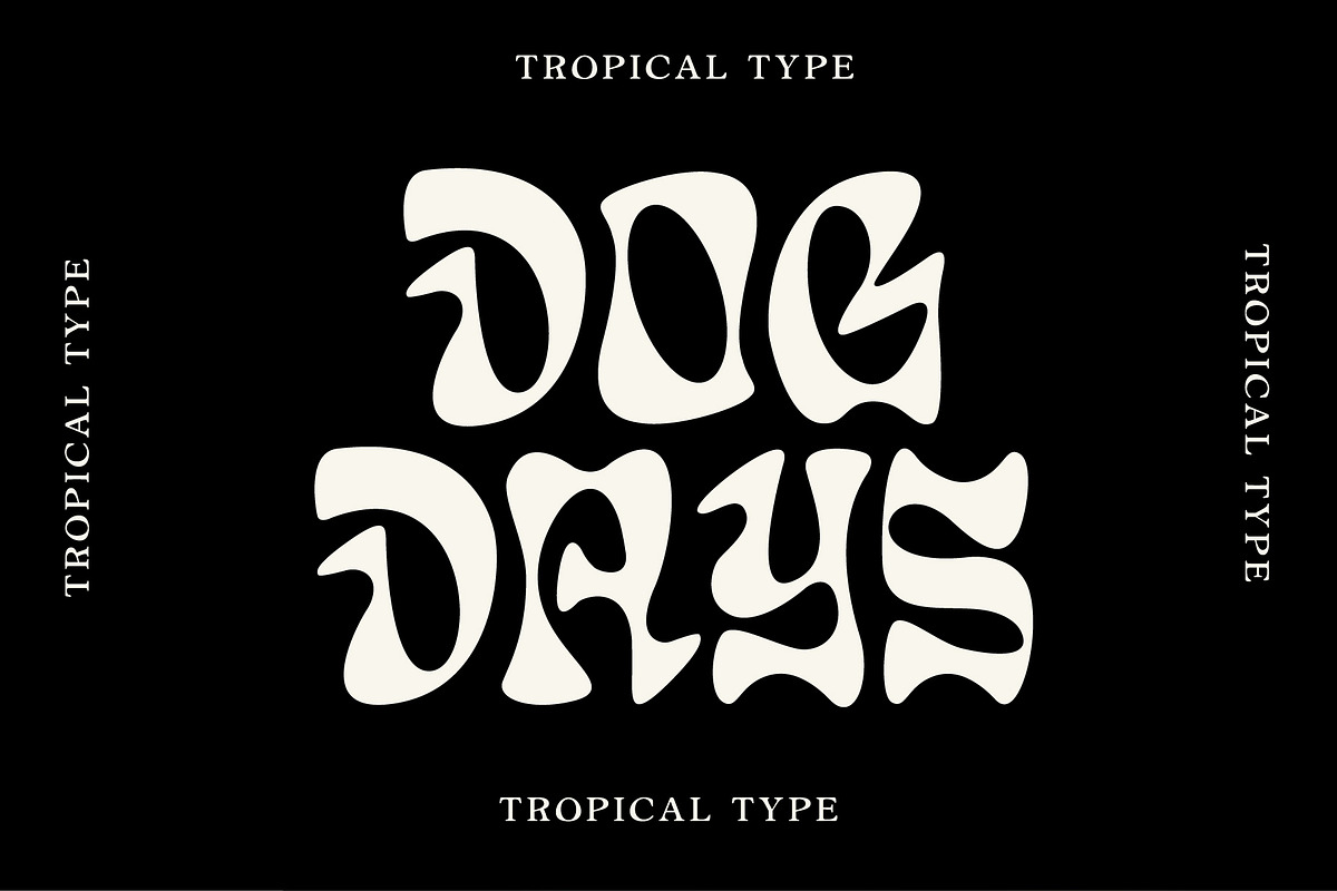 Display Font Collection, a Slab Serif Font by Tropical Type (Photo 33 of 46)