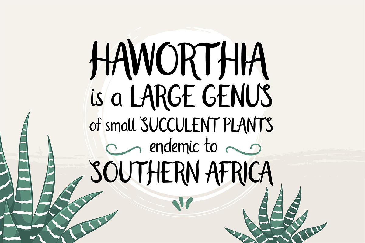 Haworthia. Multilingual Script Font., a Script Font by Cmeree (Photo 2 of 7)
