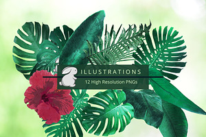 Rainforest Tropical Clip Art