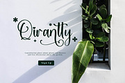Qianetta, a Script Font by Integritype Studio (Thumbnail 4 of 15)