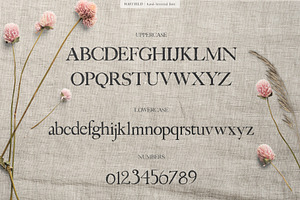 Hayfield Hand Lettered Font