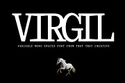 Virgil Monospaced Font, a Serif Font by That That Creative (Thumbnail 1 of 8)