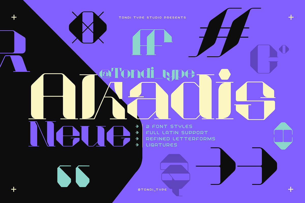 Akadis Neue - Contemporary Serif, a Serif Font by Tondi Type Studio (Photo 1 of 19)