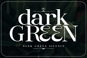 Entielin Decorative Serif Font, a Serif Font by Rasio Studio (Thumbnail 4 of 9)