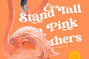 Monday Funky Modern Serif Font, a Serif Font by timelesstype.co (Thumbnail 8 of 20)