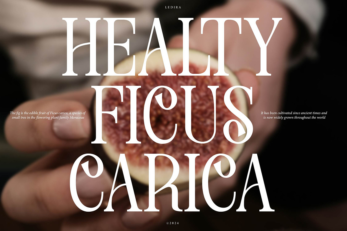 Ledira | Display Serif Font, a Serif Font by Denustudios (Photo 4 of 15)