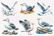 Watercolor Seagulls Clipart, an Illustration by Dream Creation (Thumbnail 6 of 7)