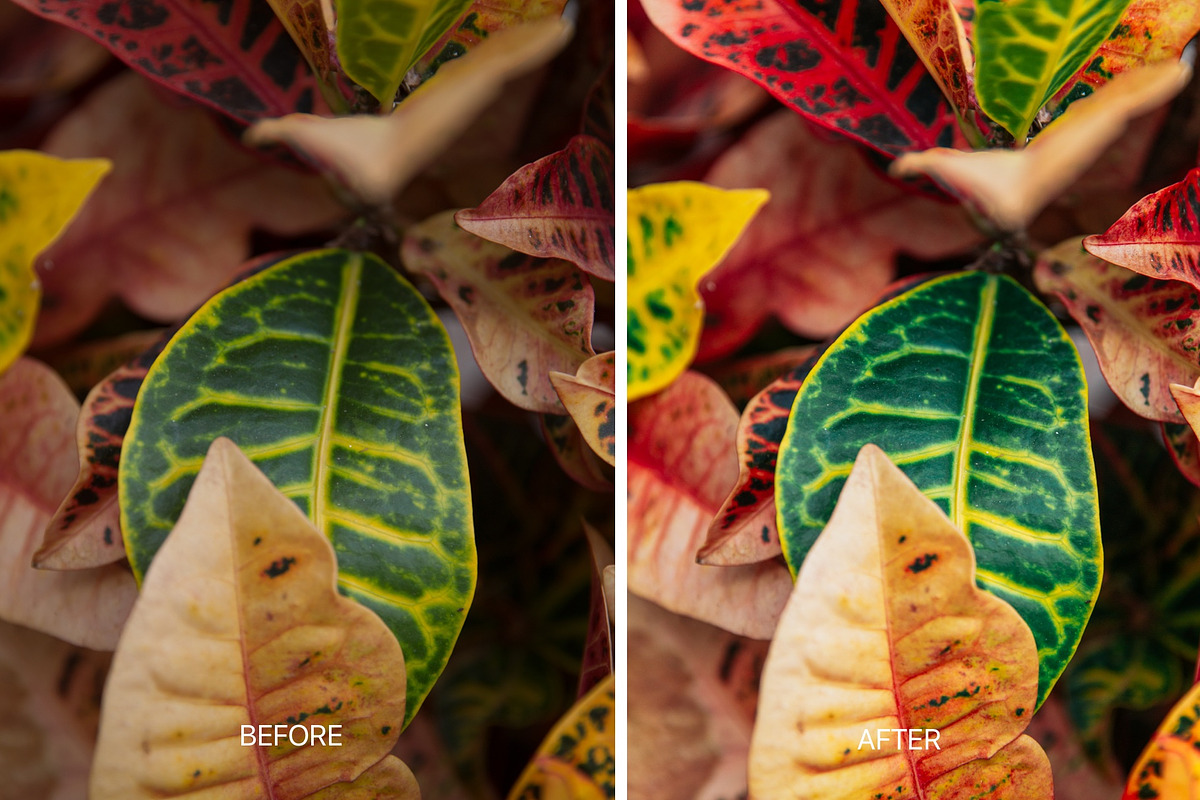 Mobile Lightroom Preset RIESLING preview 7