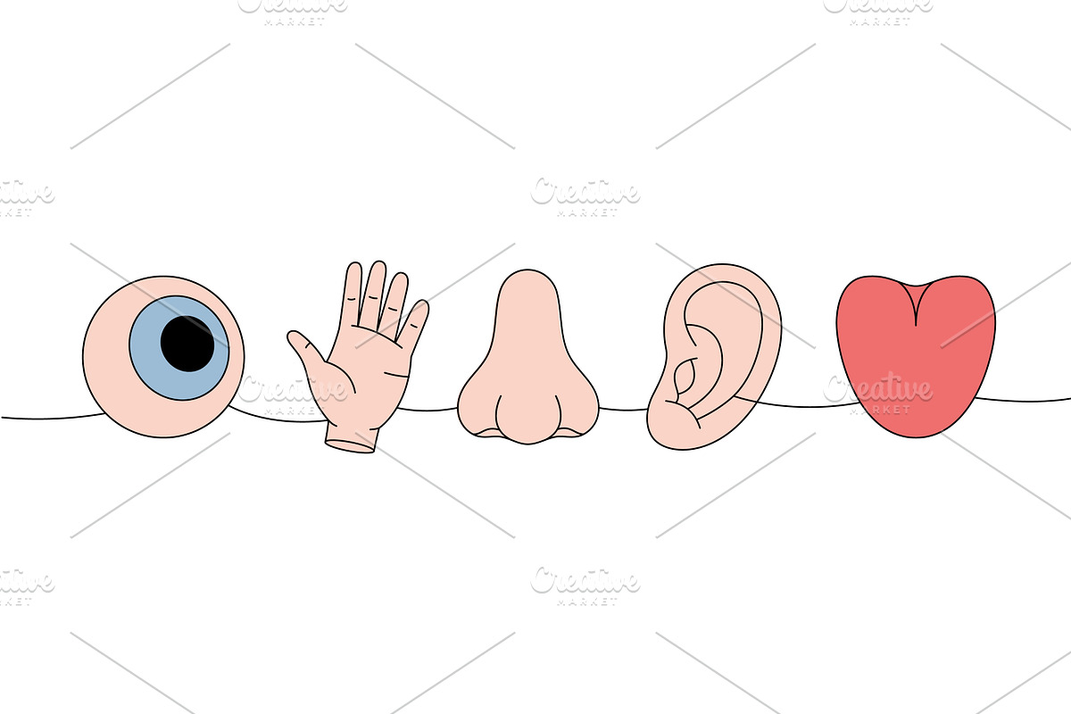 Five human senses one line colored, an Object Illustration by GraphiShop