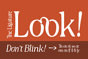 Rustique Serif, a Serif Font by Youngtype.Std (Thumbnail 7 of 11)