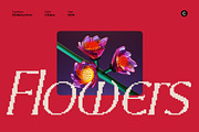 CS Marius Pixel, a Serif Font by Craft Supply Co. (Thumbnail 2 of 8)