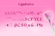 Betshaid - Stylish Display Font, a Sans Serif Font by Favo Write (Thumbnail 11 of 12)