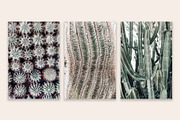 Lifestyle Bundles Collection 3, a Photo by Floral Deco (Thumbnail 36 of 48)