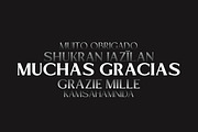 Mizhon Flare | 12 Fonts, a Serif Font by Skinny Type (Thumbnail 8 of 8)