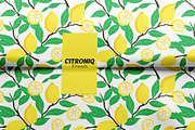 Fresh Lemon Seamless Pattern Set, a Graphic by Asya Melkonyan Patterns (Thumbnail 14 of 14)