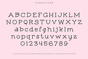 Cloudberry Typewriter Serif Font, a Serif Font by Beck McCormick (Thumbnail 10 of 10)