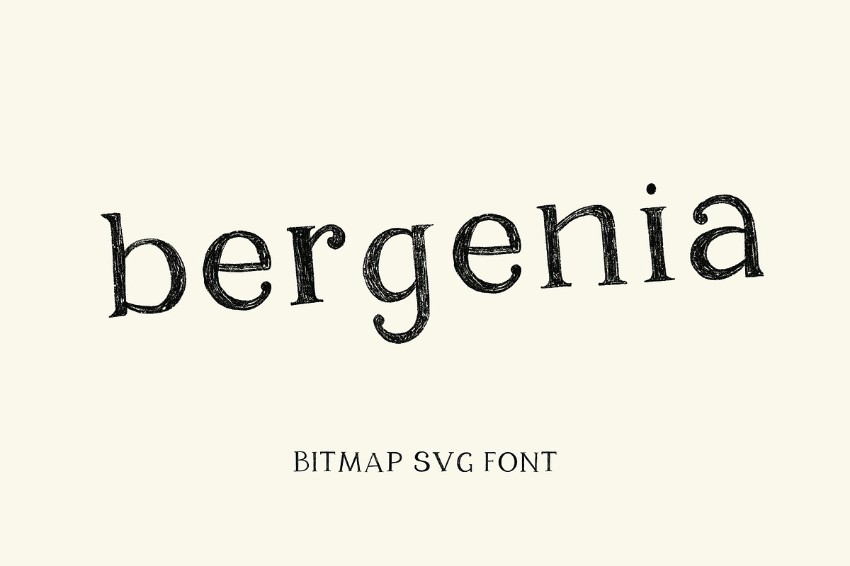 Bergenia, SVG pencil texture font, a Serif Font by Art pages (Photo 1 of 6)