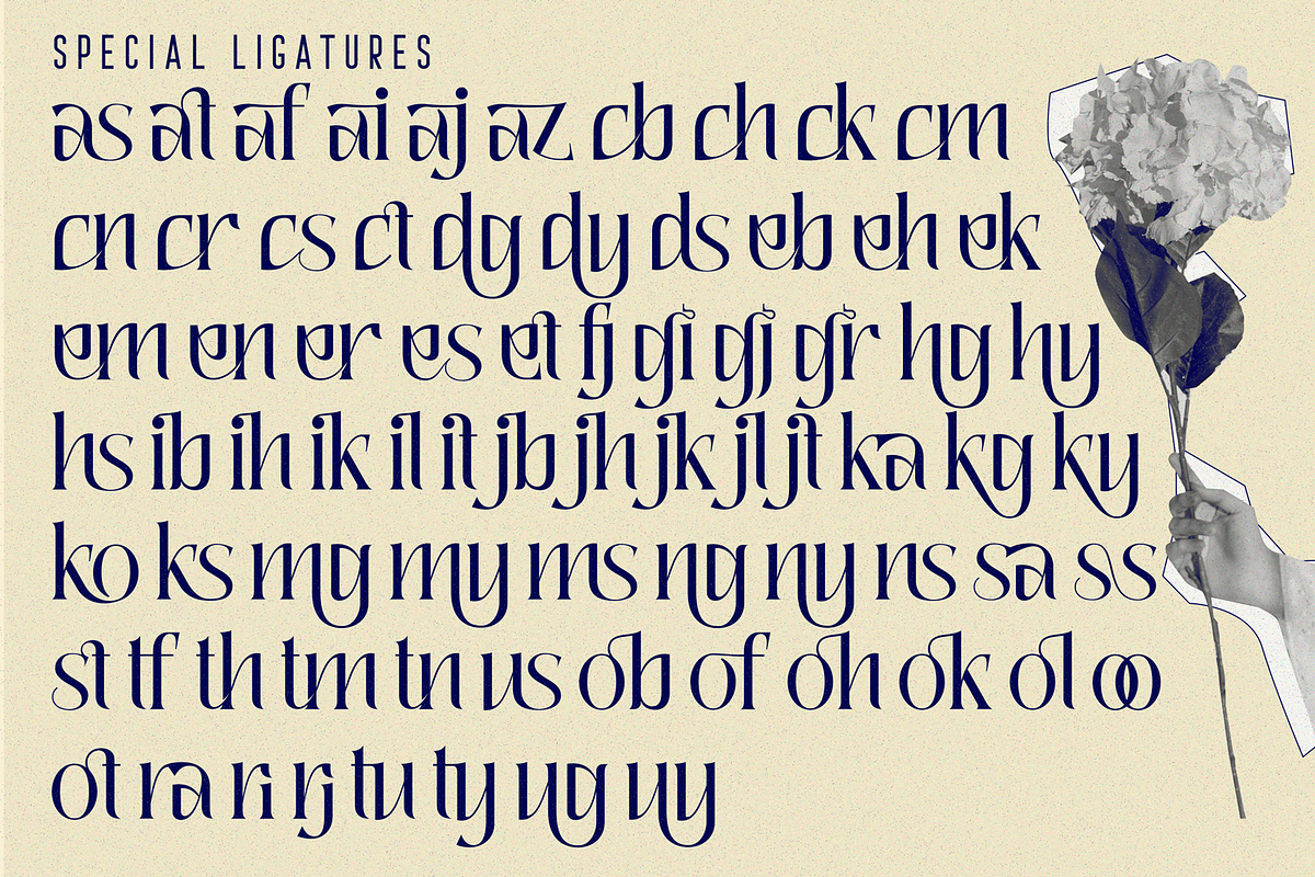 Quaffing Together - Modern Font, a Serif Font by 177Studio (Photo 8 of 8)