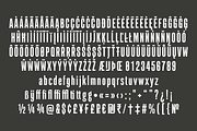 Linton Gothic Extra Condensed, a Font by TypeFaith Fonts (Thumbnail 13 of 16)