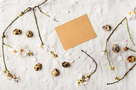 Easter holiday flatlay with quail stock photo containing easter and holiday, a Holiday Photo by Foxys