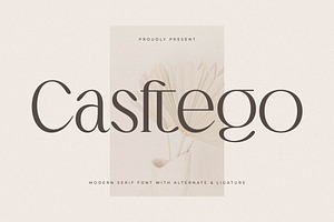 Casftego Modern Serif Font