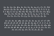 Fabello: A Hand-Lettered Serif Font, a Serif Font by Britt Fabello (Thumbnail 8 of 8)