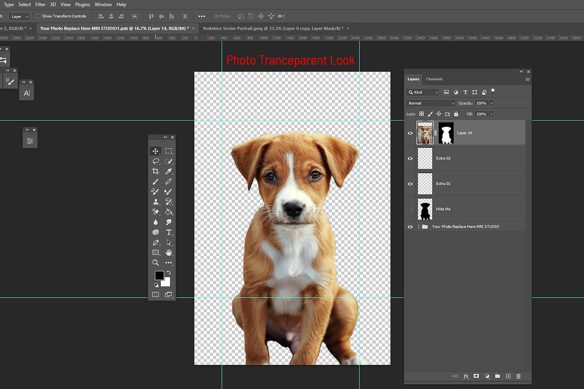 Custom Watercolor Pet Template, an Action Add-On by MRI STUDIO (Photo 15 of 23)