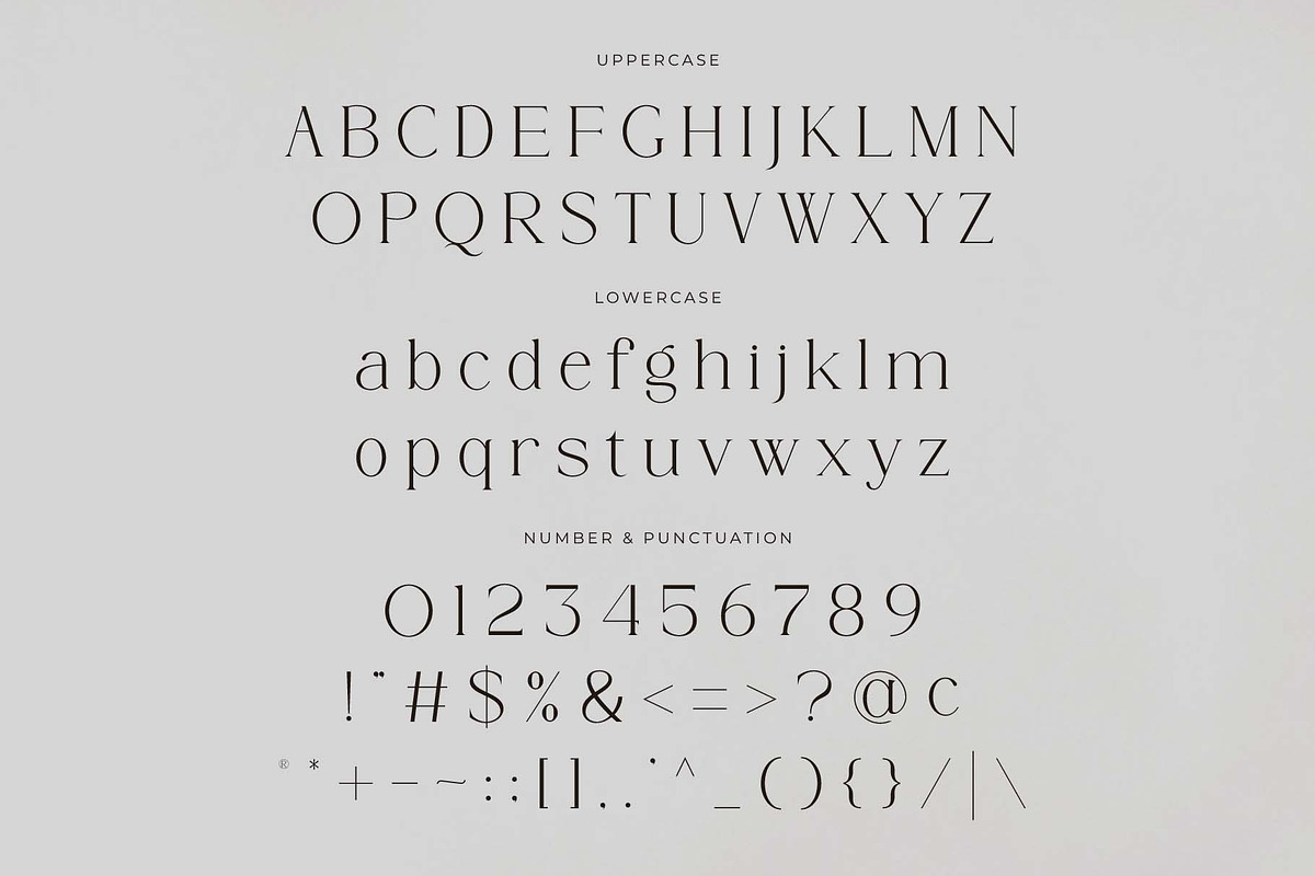 Rergian - A New Moderen Serif Font, a Serif Font by GridlineType (Photo 9 of 10)