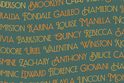 Hintown - Display Font, a Serif Font by Letterhend Studio (Thumbnail 2 of 9)