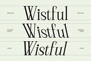 CS Praise – Elegant Font, a Serif Font by Craft Supply Co. (Thumbnail 3 of 8)