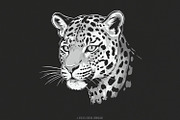 Leopard Illustration, Wild Cat, an Illustration by SharpMarketplace (Thumbnail 1 of 5)