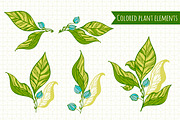Herbal collection (+bonus), an Object Graphic by Fresh-shop (Thumbnail 2 of 7)