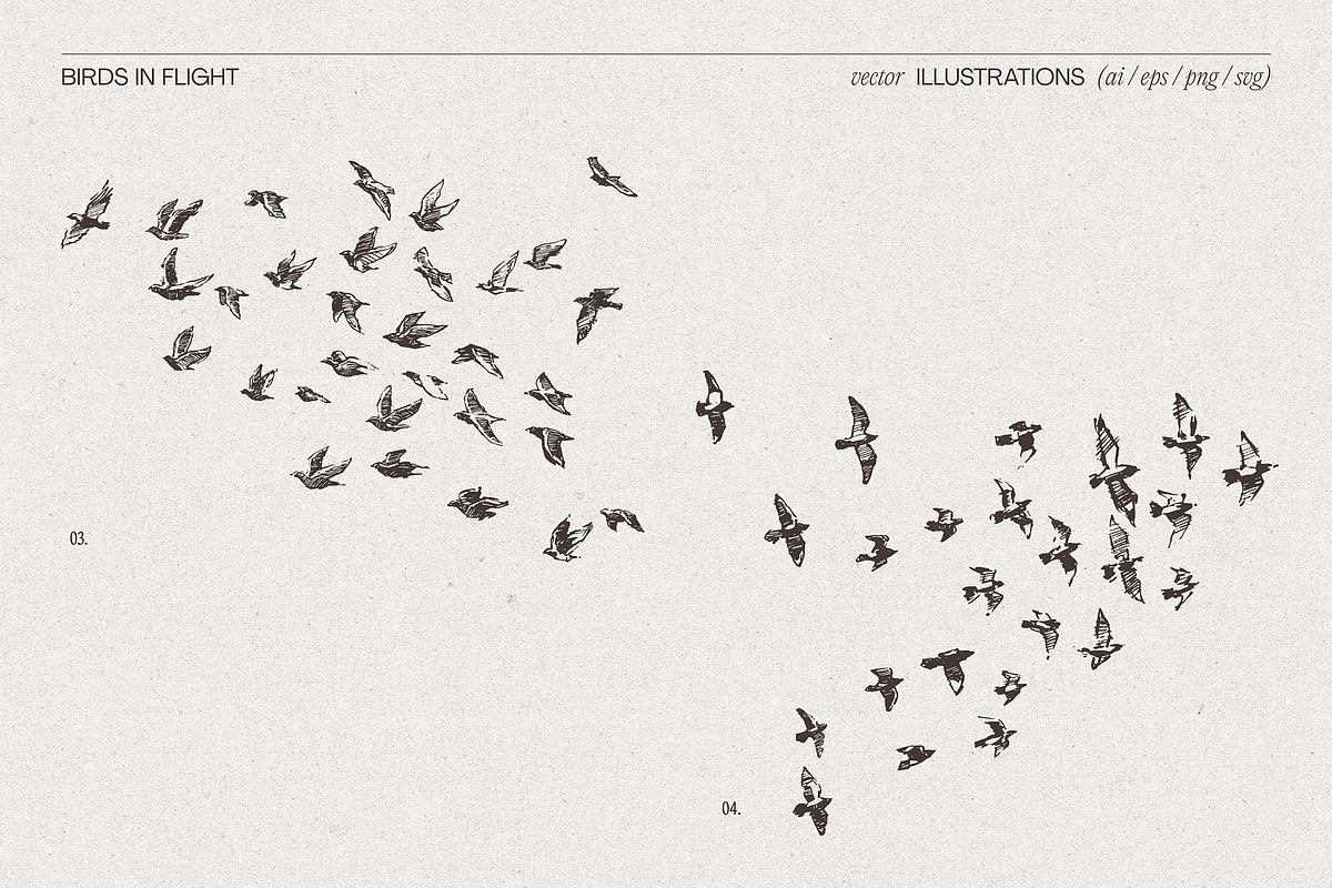 Sketch-Style Bird Flock Vector Set, an Animal Illustration by TheMountBirdStudio (Photo 5 of 11)