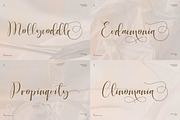 Elegant Script Font Bundle, a Script Font by Flawless And Co (Thumbnail 5 of 11)