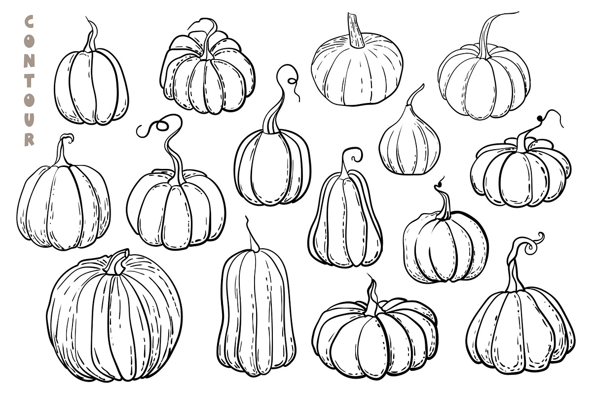 Pumpkins - vector clipart, a Seasonal Illustration by Glass Cat Design (Photo 2 of 10)