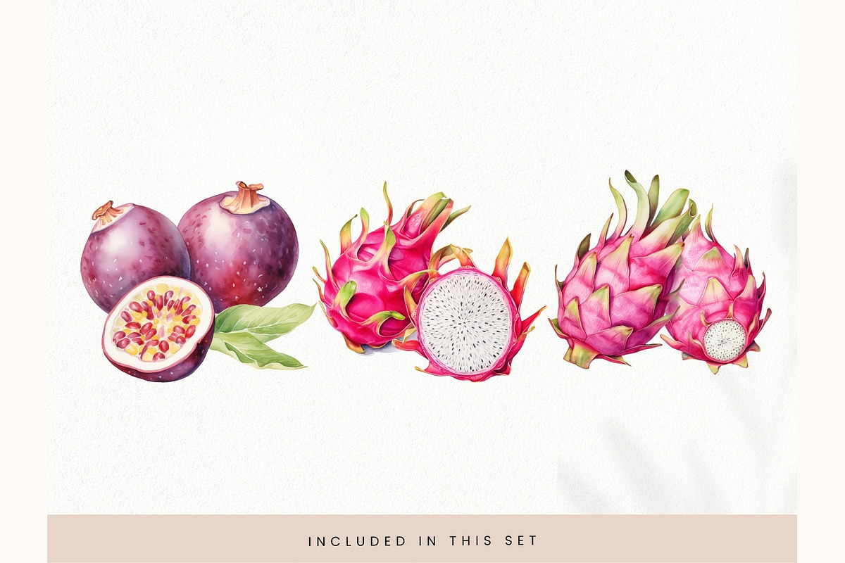 Watercolor Fruit Clipart, Fresh PNG, a Decorative Illustration by illuztrate (Photo 10 of 13)