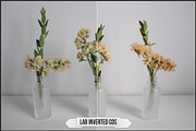 LAB Color Vol. 1 - Inverted Blend, a Plug-in Add-On by Raztrend (Thumbnail 14 of 30)