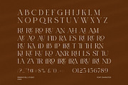 Sanida Elegant Serif Font, a Serif Font by Graphicxell (Thumbnail 8 of 8)